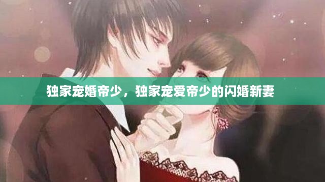 独家宠婚帝少，独家宠爱帝少的闪婚新妻 