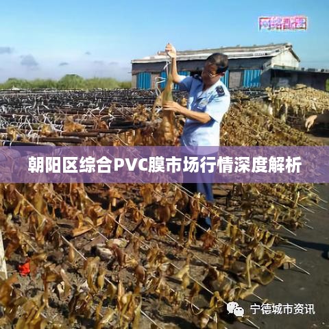 朝阳区综合PVC膜市场行情深度解析