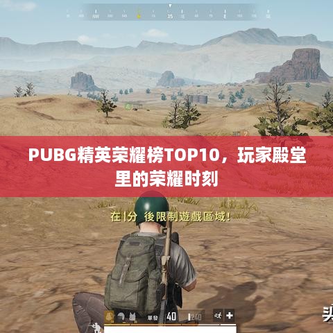 PUBG精英荣耀榜TOP10，玩家殿堂里的荣耀时刻