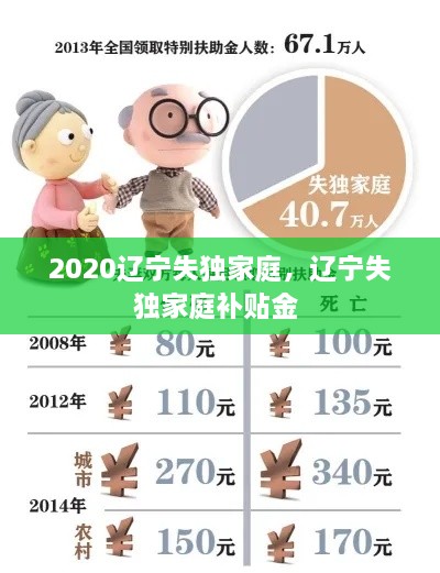 2020辽宁失独家庭，辽宁失独家庭补贴金 