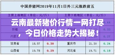 云南最新猪价行情一网打尽，今日价格走势大揭秘！