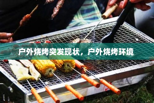 户外烧烤突发现状，户外烧烤环境 