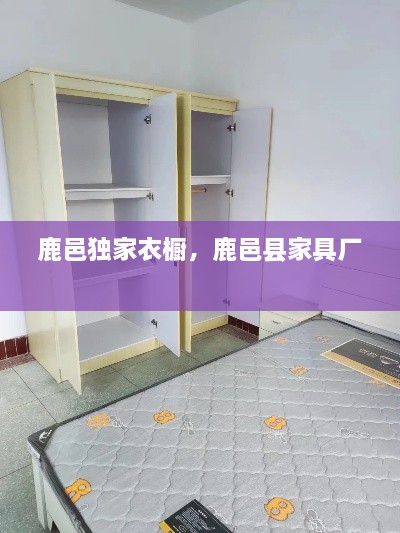 鹿邑独家衣橱，鹿邑县家具厂 