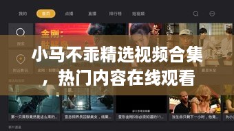 小马不乖精选视频合集，热门内容在线观看