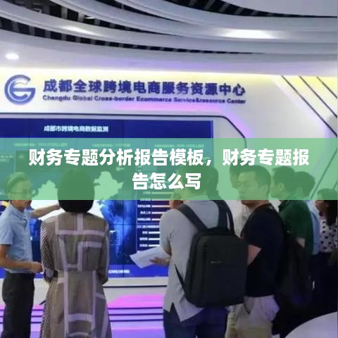 财务专题分析报告模板，财务专题报告怎么写 
