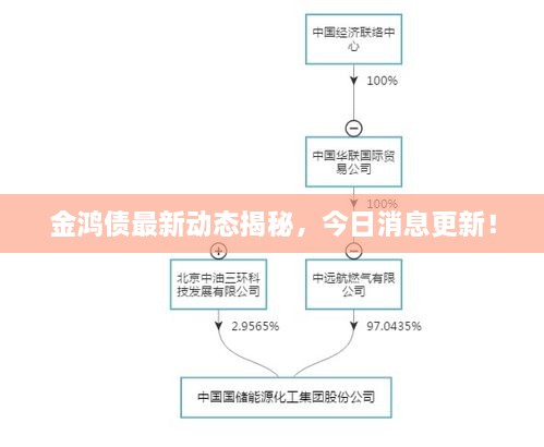 金鸿债最新动态揭秘，今日消息更新！