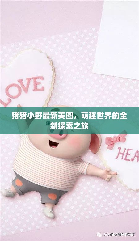 猪猪小野最新美图，萌趣世界的全新探索之旅