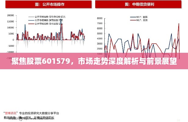 聚焦股票601579，市场走势深度解析与前景展望