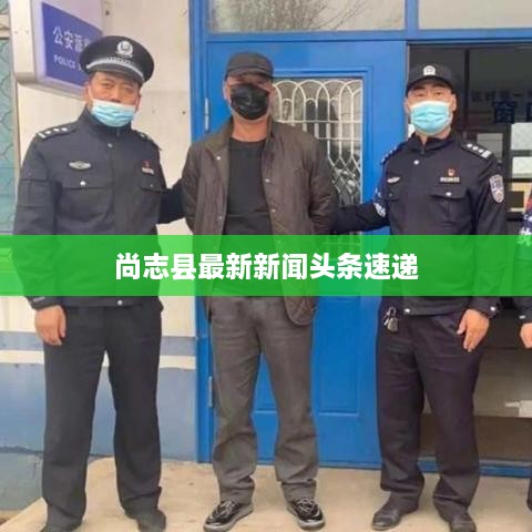 尚志县最新新闻头条速递