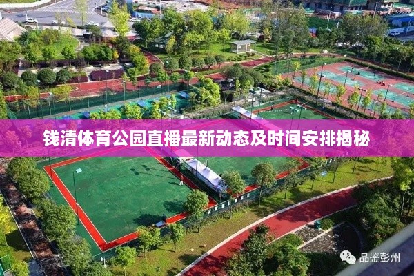 钱清体育公园直播最新动态及时间安排揭秘
