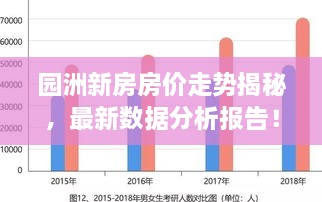 园洲新房房价走势揭秘，最新数据分析报告！