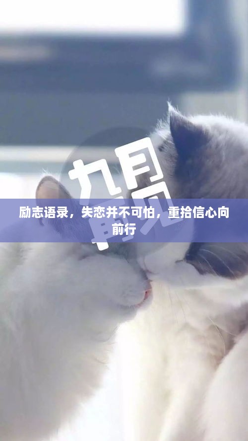励志语录，失恋并不可怕，重拾信心向前行