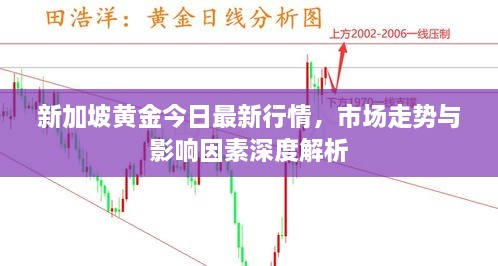 新加坡黄金今日最新行情，市场走势与影响因素深度解析
