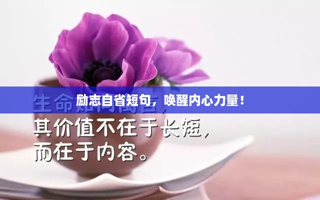励志自省短句，唤醒内心力量！