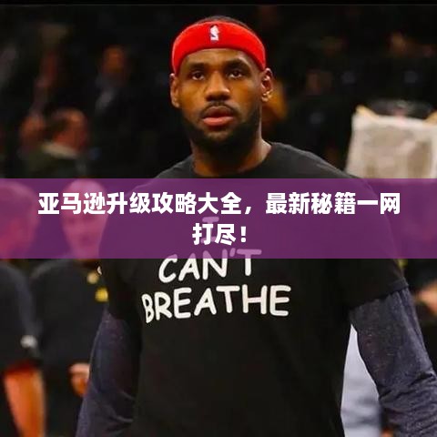 亚马逊升级攻略大全，最新秘籍一网打尽！