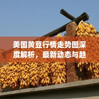 美国黄豆行情走势图深度解析，最新动态与趋势预测