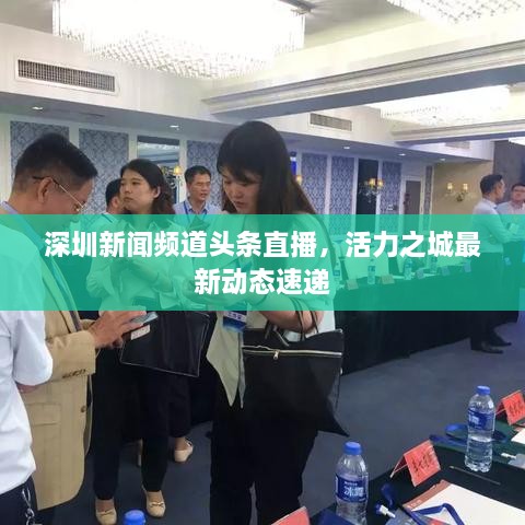 深圳新闻频道头条直播，活力之城最新动态速递