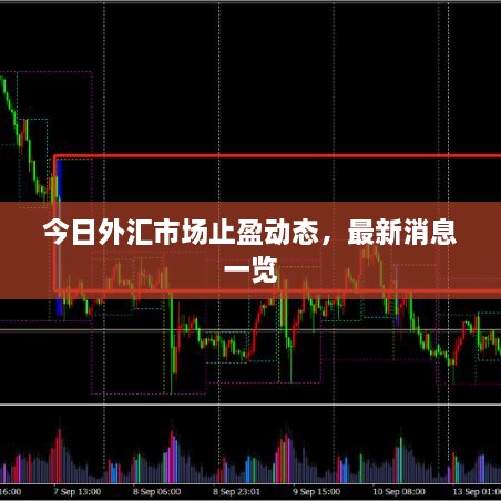 今日外汇市场止盈动态，最新消息一览