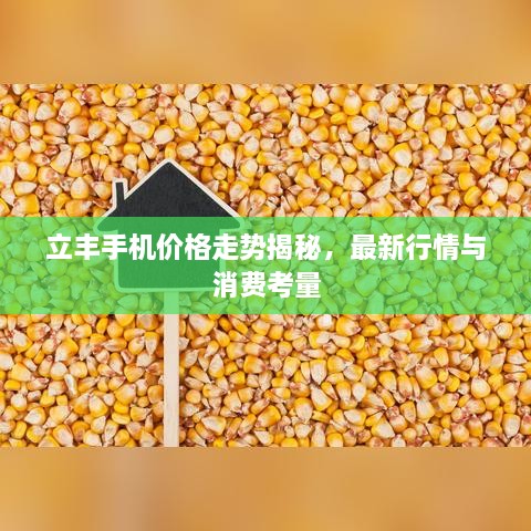 立丰手机价格走势揭秘，最新行情与消费考量