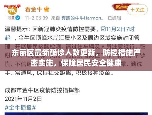 东丽区最新确诊人数更新，防控措施严密实施，保障居民安全健康