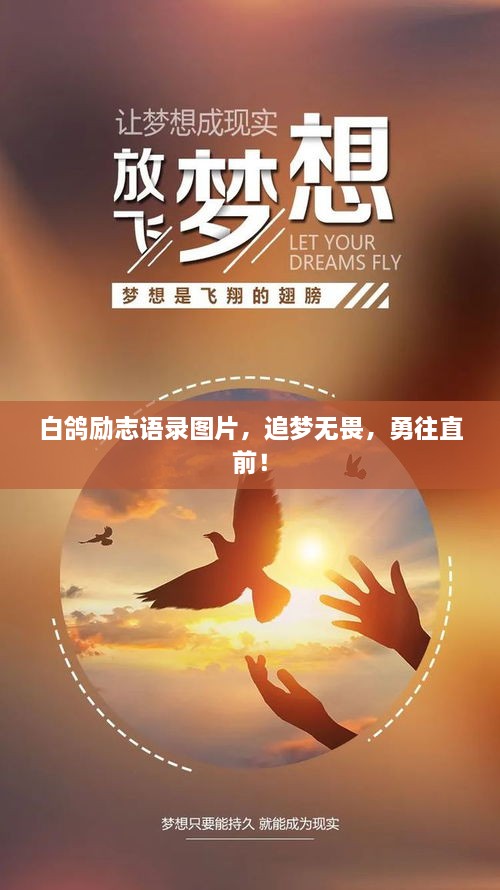 白鸽励志语录图片，追梦无畏，勇往直前！